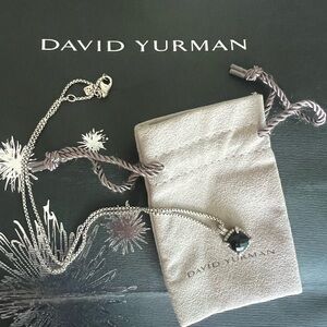 David Yurman  Onyx Pave Bezel Necklace
Chatelaine Collection 💯Authentic!